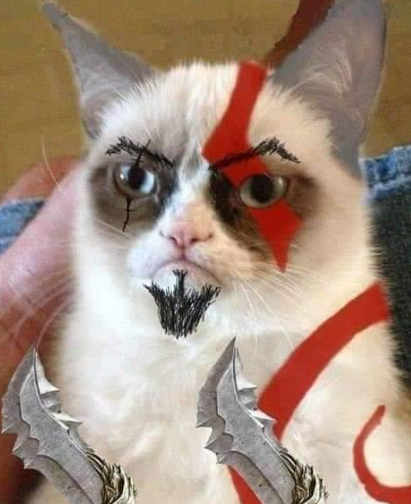 Kratos the cat